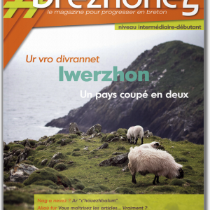 #brezhoneg n°62 : Irlande, un pays coupé en deux / Iwerzhon, ur vro divrannet